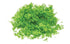 Skale Scenics R7161 Flock - Bright Green