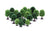 Skale Scenics R7198 Hobby' Deciduous Trees