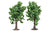 Skale Scenics R7204 Beech Trees