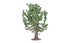 Skale Scenics R7209 Oak Tree