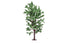 Skale Scenics R7211 Horse Chestnut Tree