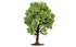 Skale Scenics R7212 Fruit Tree