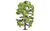 Skale Scenics R7217 Acacia Tree