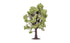 Skale Scenics R7219 Beech Tree