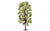 Skale Scenics R7221 Lime Tree