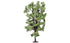 Skale Scenics R7222 Horse-Chestnut Tree