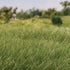Woodland Scenics 7mm Static Grass Medium Green