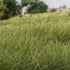 Woodland Scenics 12mm Static Grass Medium Green