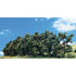 Woodland Scenics 1"-4" Classic Hedgerow