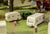 Faller Fairground Caravans (2) Kit IV