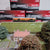 Revolution Trains N Gauge Class 59 59206 John F Yeoman Freightliner (DCC Sound)