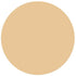 RailMatch Paint - 2425 New Stone Acrylic 18ml