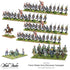 Warlord French Starter Army (Peninsular Campaign)