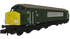 Rapido Trains N Gauge class 44 6/D6 "Whernside" BR Green Full Yellow Ends (DCC Sound)