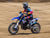 Horizon RC Car 1/4 Promoto-MX Motorcycle RTR, FXR (Blue) (Losi)