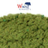 WWS 1mm Winter Static Grass - 50g Bag