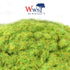 WWS 1mm Spring Static Grass - 50g Bag