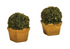 Harburn Hamlets OO Gauge SS315 Bushy Shrubs in Terracotta Planters (2)