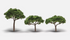 Woodland Scenics 2.3"-3.3" Canopy Trees 3/Pkg