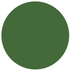 Railmatch Enamel Paint 314 - BR Southern Stock Green