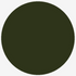 Railmatch Enamel Paint 631 - SR Dark Olive