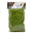 WWS 6mm Spring Static Grass - 50g Bag