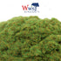 WWS 1mm Autumn Static Grass - 50g Bag