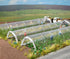 Busch 1399 Plastic Polytunnels 20CM Long