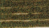 PSG-46 PECOSCENE TUFT STRIPS 10MM MARSHLAND (10)