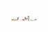 Noch TT:120 N45715 Dogs and Cats (10) Figure Set