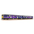 Bachmann Class 150/1 2-Car DMU 150143 Northern Rail