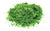Skale Scenics R7157 Flockage - Medium Green