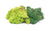 Skale Scenics R7194 Lichen - Green Mix