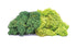 Skale Scenics R7195 Lichen - Large Green Mix