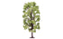 Skale Scenics R7221 Lime Tree