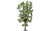 Skale Scenics R7222 Horse-Chestnut Tree