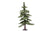 Skale Scenics R7225 Medium Nordic Fir Tree