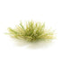 Woodland Scenics Light Green Grass Tufts